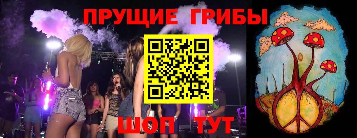 Камышин  Псилоцибиновые грибы MAGIC MUSHROOMS  как найти закладки  Вход с VPN 